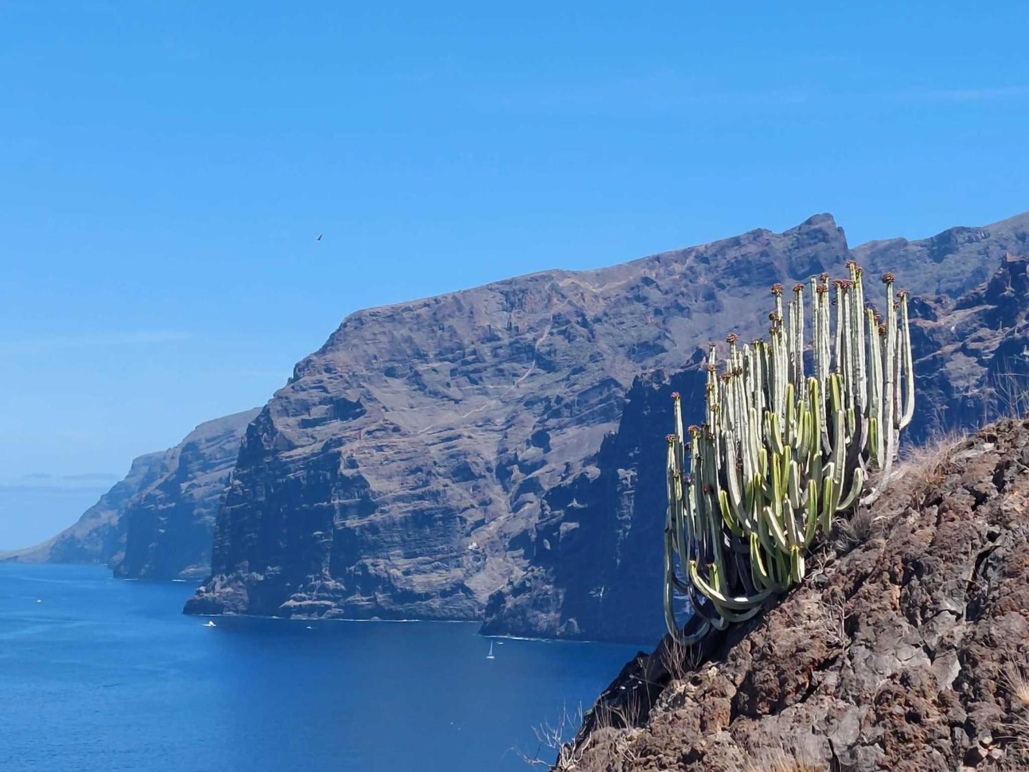 Appartamento Con 1 Camera Da Letto Con Vista Ov223 Costa Adeje  Exteriör bild