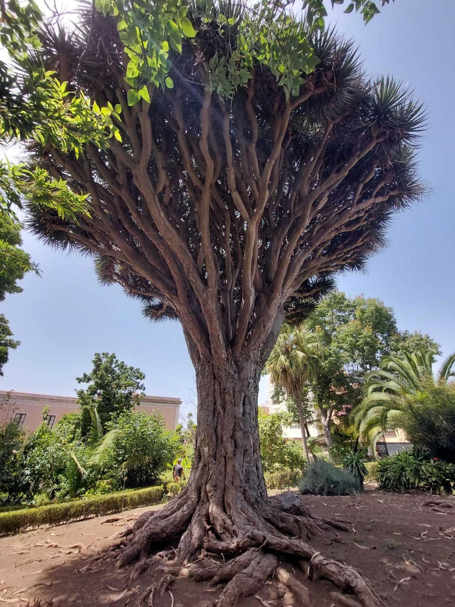Appartamento Con 1 Camera Da Letto Con Vista Ov223 Costa Adeje  Exteriör bild